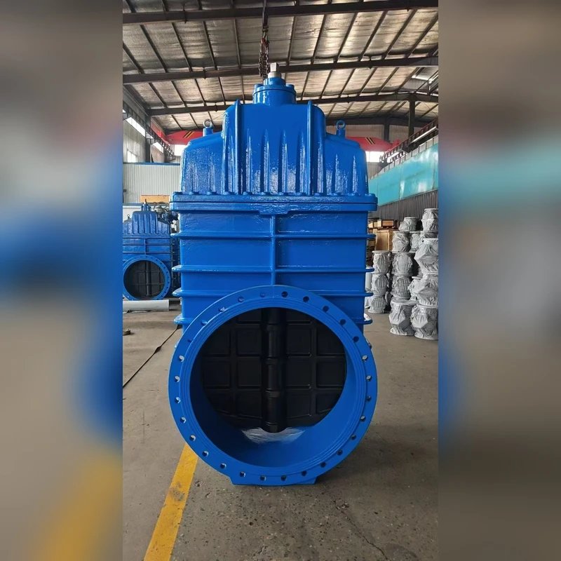 Globe Valves