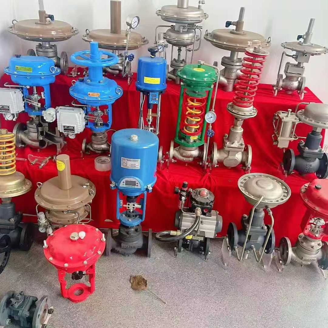 Sampling and Dosing Control Valve