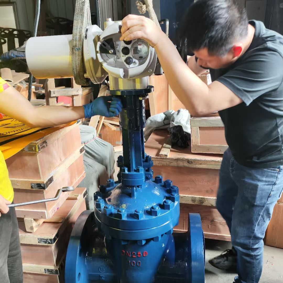 Parallel Slide Gate Valve