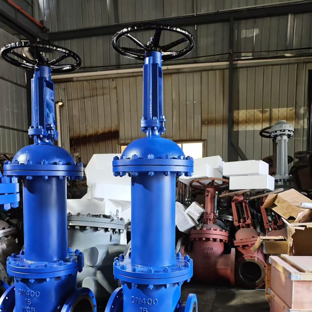 Rising Stem Flanged Gate Valve